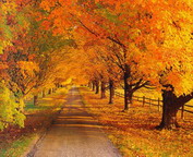 misc_01152.jpg