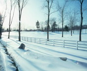 misc_01195.jpg