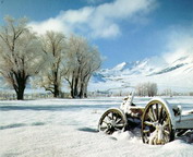 misc_01207.jpg