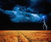 nature029.jpg