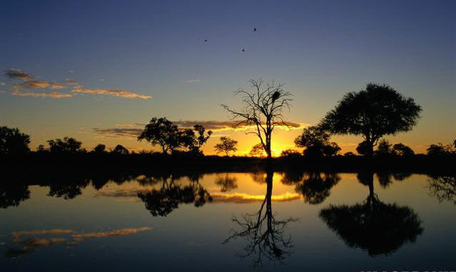 237.jpg