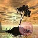 places005.jpg
