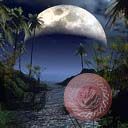 places012.jpg