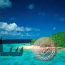 places016.jpg