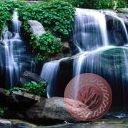places018.jpg