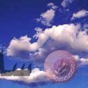 places019.jpg