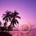 places022.jpg