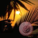 places023.jpg