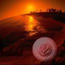 places025.jpg