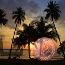 places027.jpg