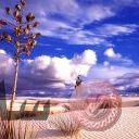 places028.jpg