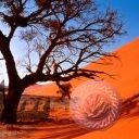 places029.jpg