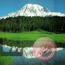 places032.jpg