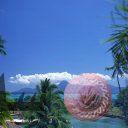 places034.jpg