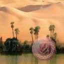places045.jpg