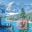 places046.jpg