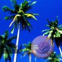 places049.jpg