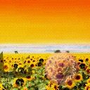 places052.jpg
