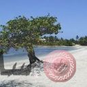 places058.jpg