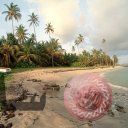 places060.jpg