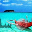 places063.jpg