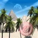 places068.jpg