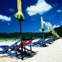 places071.jpg