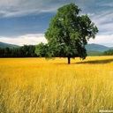 places084.jpg