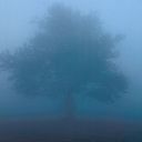 places085.jpg