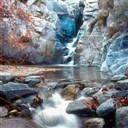 places086.jpg