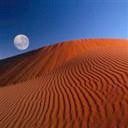 places087.jpg