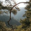 places094.jpg