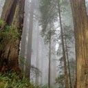 places106.jpg