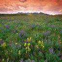 places107.jpg