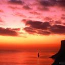 places134.jpg