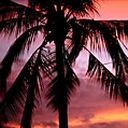 places151.jpg