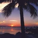 places161.jpg