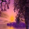 33182_wallpaper280.jpg