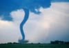 Forces_of_nature_037.jpg