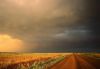 Forces_of_nature_041.jpg