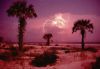 Forces_of_nature_044.jpg