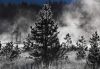 Forces_of_nature_046.jpg