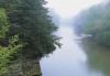 Forests013.jpg