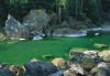 Forests024.jpg