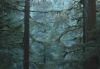 Forests029.jpg