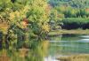 Forests038.jpg