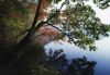 Forests048.jpg