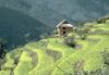 Mountains008.jpg