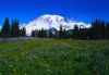 Mountains036.jpg