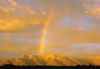 Rainbows007.jpg